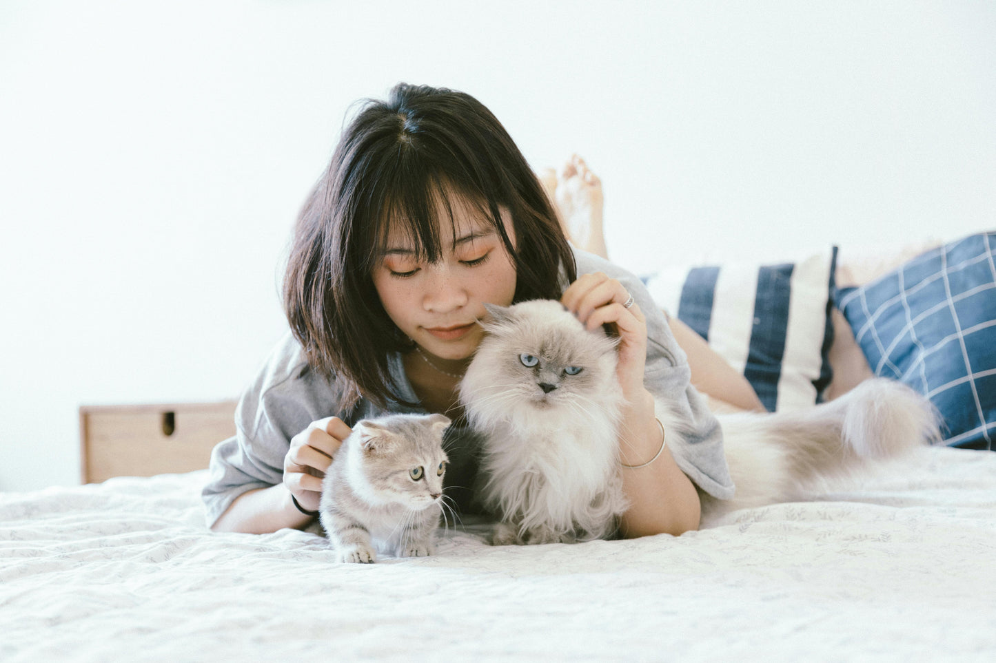 Pet Tech Installation